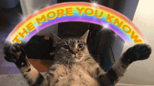 giphy-5
