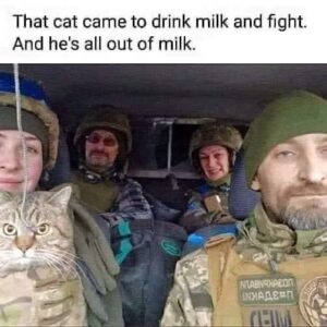 FB_IMG_1748251432164