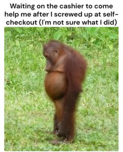 FB_IMG_1748927621311