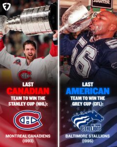 FB_IMG_1749087035779