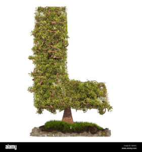 tree-letter-l-tree-in-shaped-of-letter-l-3d-rendering-isolated-on-white-background-RJR69C