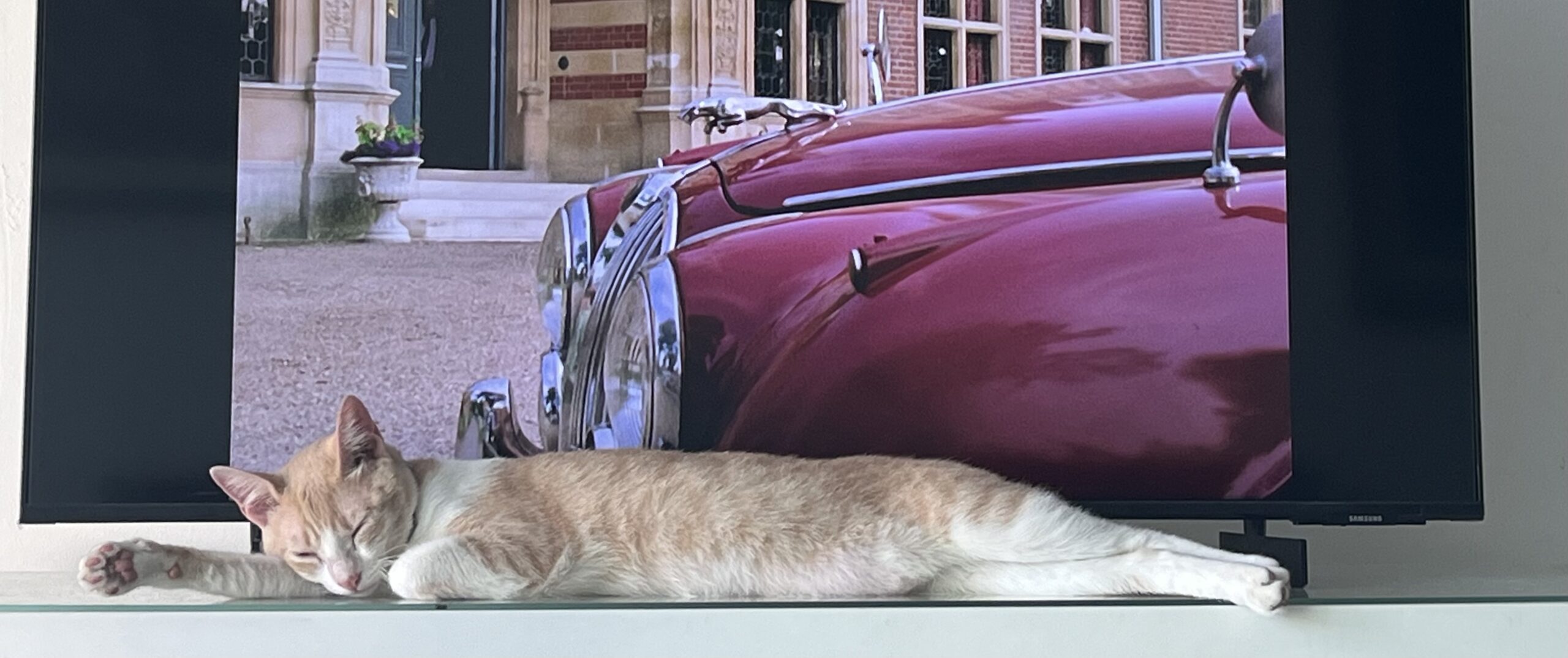 The Final Stretch: Sunday Offseason Etc. Etc.