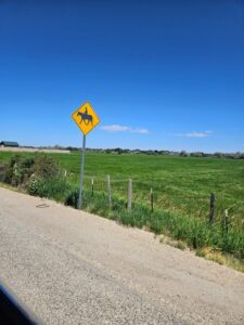 Resized_20250727_114240