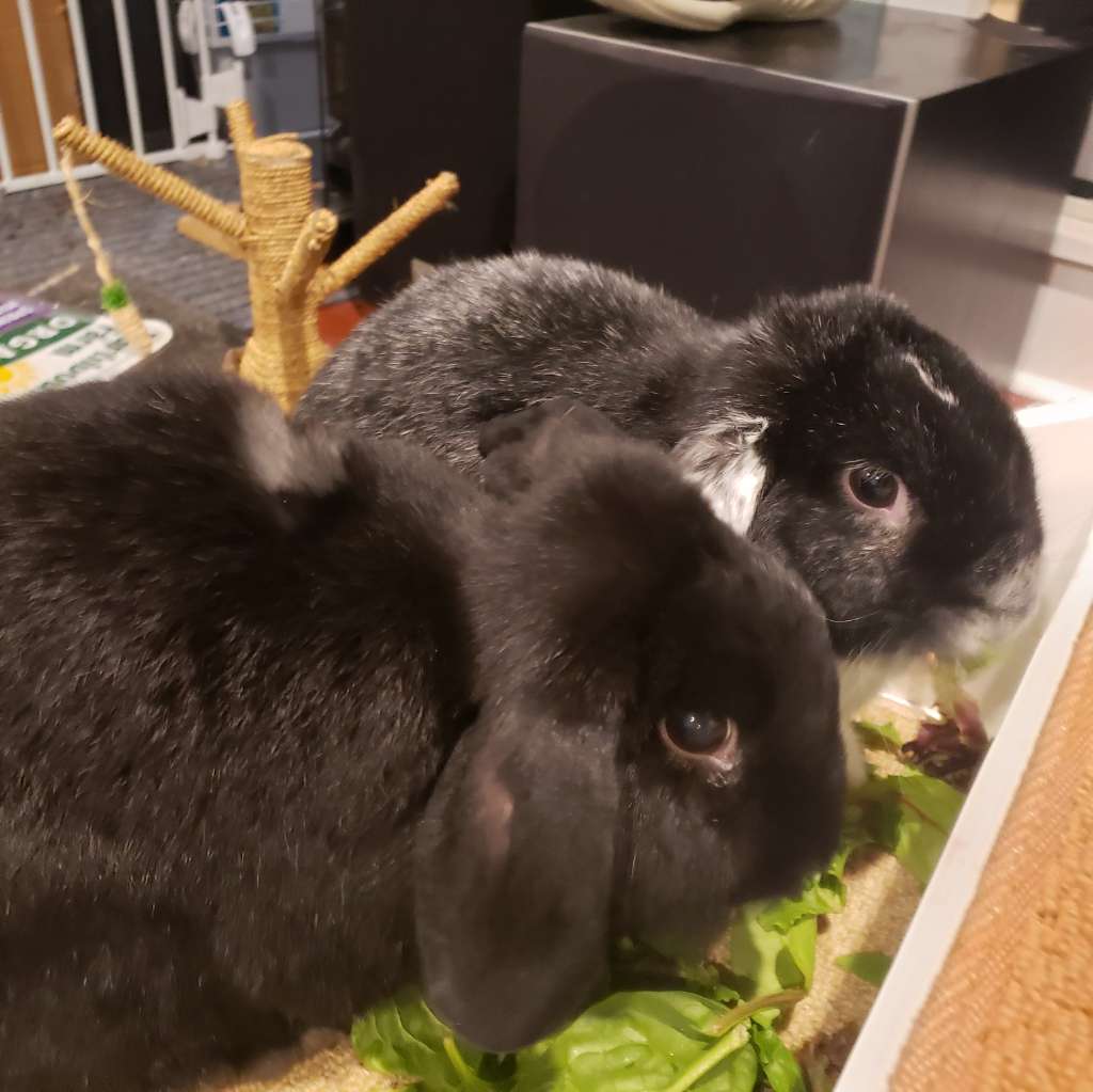 Monday Evening Open Thread – Has WWWIII kicked off yet?