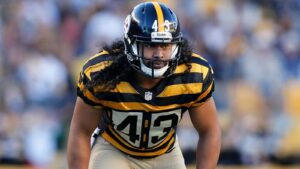 skysports-troy-polamalu-steelers_4772702