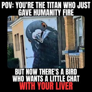 FB_IMG_1750519189743