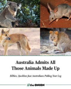 FB_IMG_1754490661285