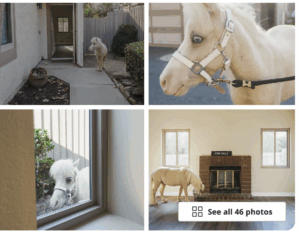 Screenshot-2025-08-26-at-7.40.07-PM