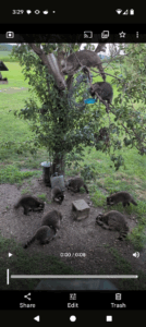 Screenshot_20250730-152948