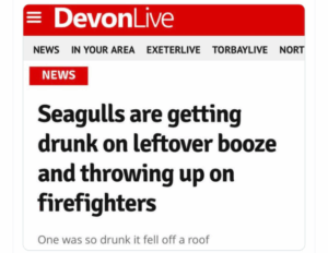 Screenshot_20250829-2213312