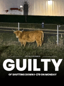 Screenshot-2025-11-19-231134