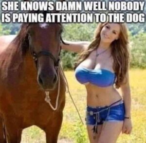 FB_IMG_1767640775643