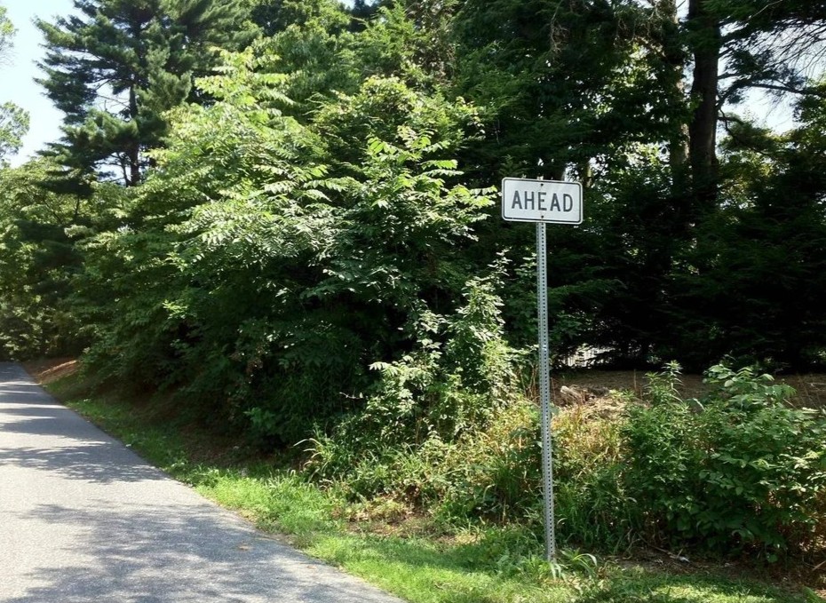 Looking Forward, Offseason Sunday Etc. Etc.