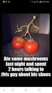 1000003236
