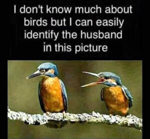 FB_IMG_1778697615786 FB_IMG_1778697615786