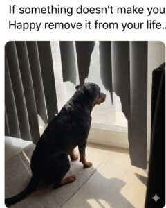 FB_IMG_1780158172300