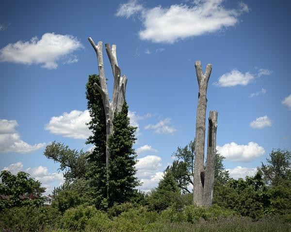 IMG_4146 IMG_4146